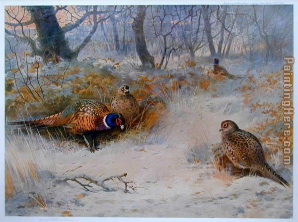 Frost in the Coverts painting - Archibald Thorburn Frost in the Coverts art painting